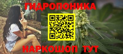 прущие крисы Моздок