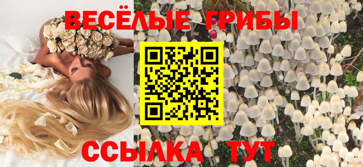 Псилоцибиновые грибы Psilocybe  Вход с VPN  Советская Гавань 