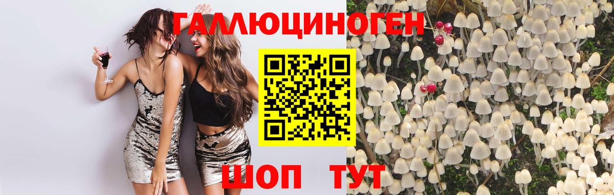 Галлюциногенные грибы прущие грибы Советская Гавань